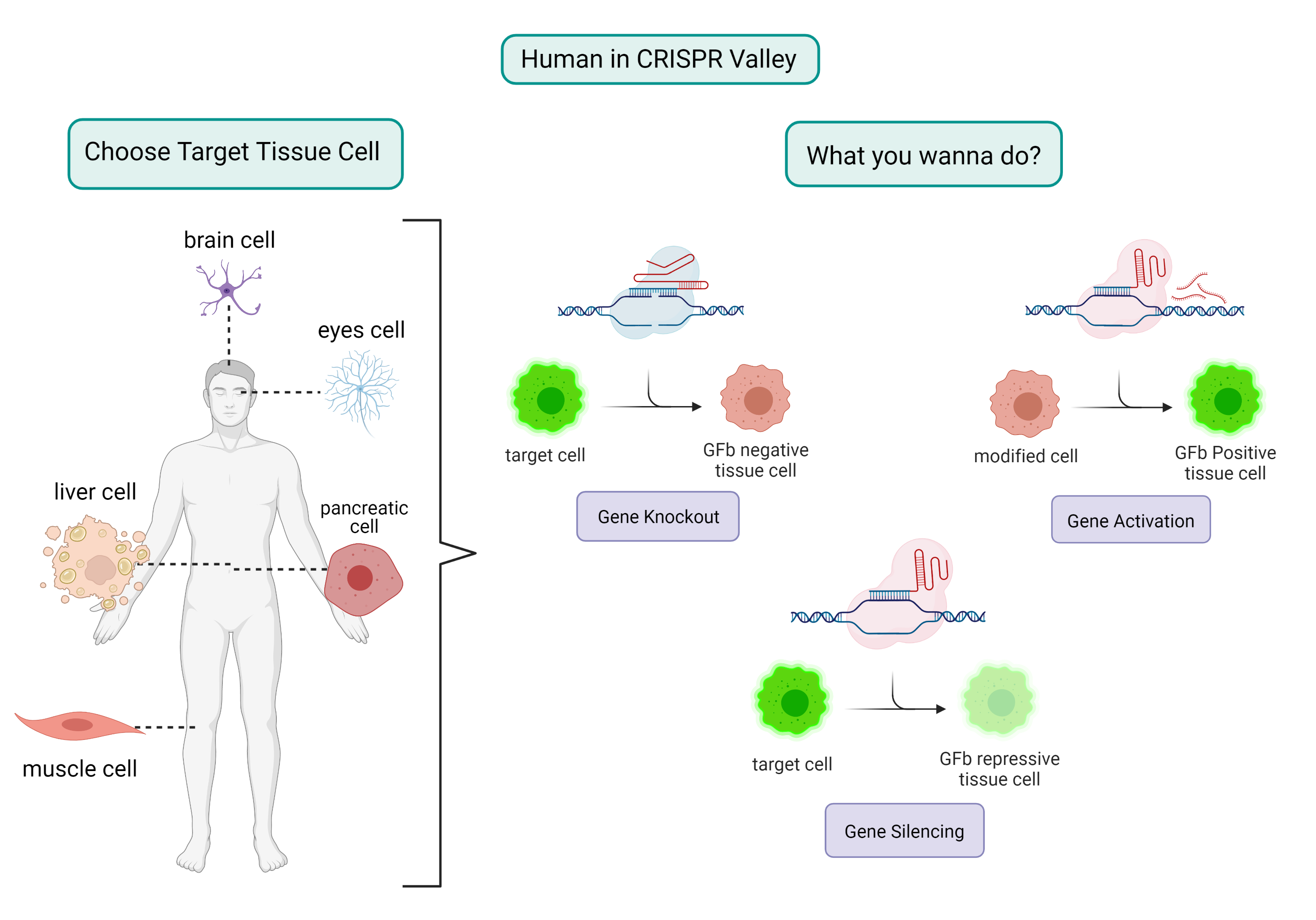 CRISPR Valley